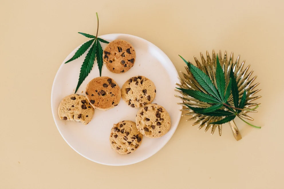 Can You Eat Weed? How to Make Edibles for Beginners